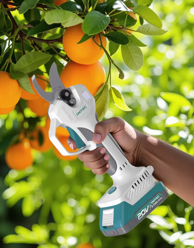 Cordless pruning shears
